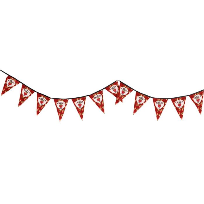 Sublimated Single-Sided Polyester Triangle Bunting 10m