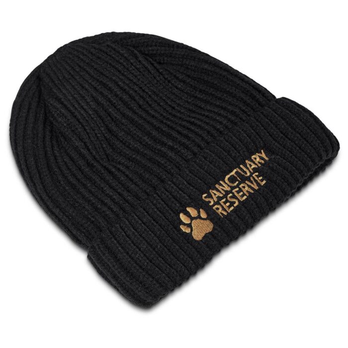 Arctic Beanie